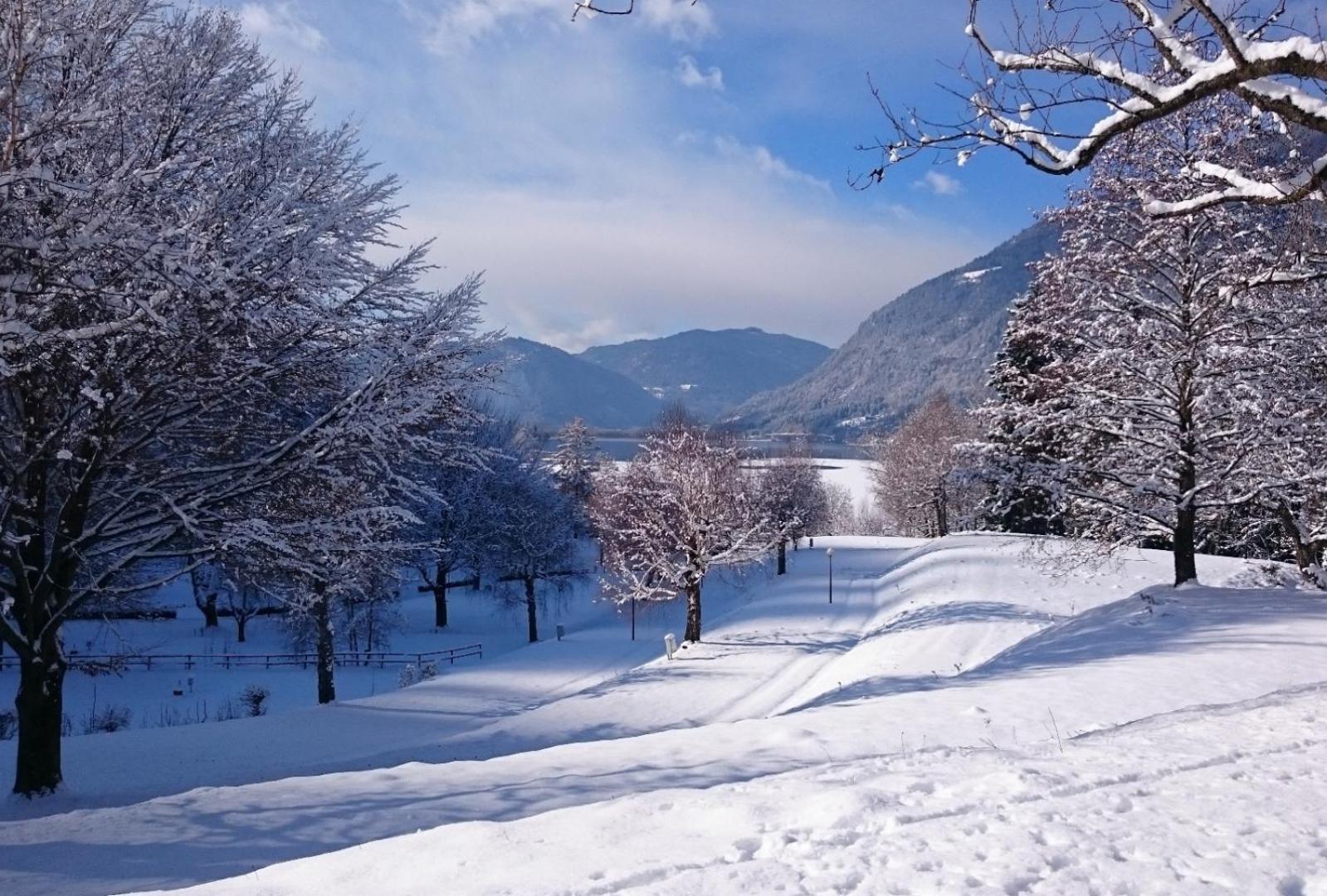 Seecamping Berghof - Mobilheime 兰斯科伦 外观 照片